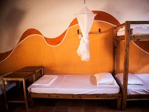 富国岛 Langchia Home 预订指南 优惠价格、地址、联系方式与票务代理服务