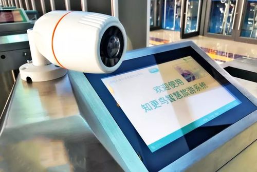 科技赋能文旅复苏 互联网信息服务如何助力西安景区疫后振兴