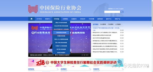 梧桐树保险经纪 互联网信息服务解析与市场认知